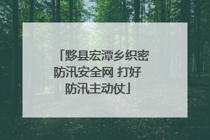 黟县宏潭乡织密防汛安全网 打好防汛主动仗