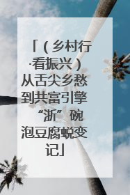 （乡村行·看振兴）从舌尖乡愁到共富引擎 “浙”碗泡豆腐蜕变记