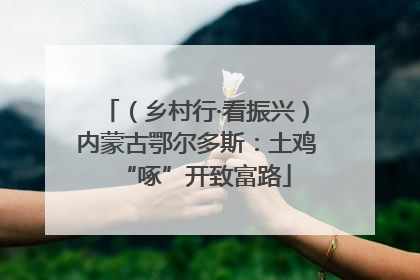 （乡村行·看振兴）内蒙古鄂尔多斯：土鸡“啄”开致富路