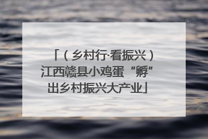 （乡村行·看振兴）江西赣县小鸡蛋“孵”出乡村振兴大产业