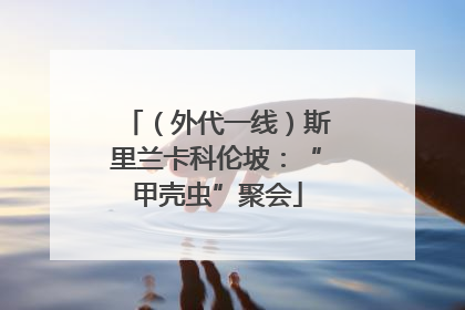 （外代一线）斯里兰卡科伦坡：“甲壳虫”聚会