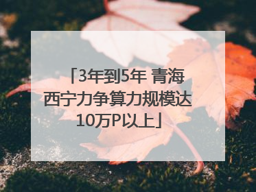 3年到5年 青海西宁力争算力规模达10万P以上