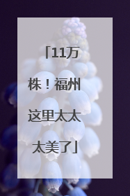 11万株！福州这里太太太美了