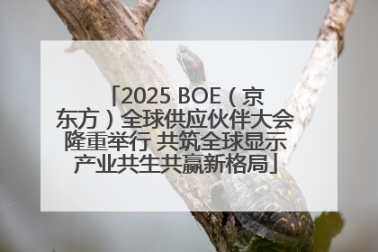 2025 BOE（京东方）全球供应伙伴大会隆重举行 共筑全球显示产业共生共赢新格局