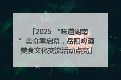 2025 “味道湖南”美食季启幕，岳阳啤酒美食文化交流活动点亮