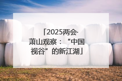 2025两会·萧山观察：“中国视谷”的新江湖