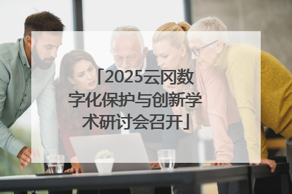 2025云冈数字化保护与创新学术研讨会召开