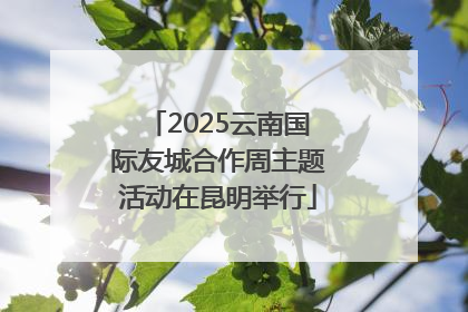 2025云南国际友城合作周主题活动在昆明举行