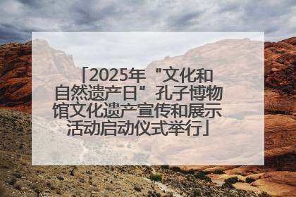 2025年“文化和自然遗产日”孔子博物馆文化遗产宣传和展示活动启动仪式举行