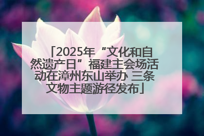 2025年“文化和自然遗产日”福建主会场活动在漳州东山举办 三条文物主题游径发布