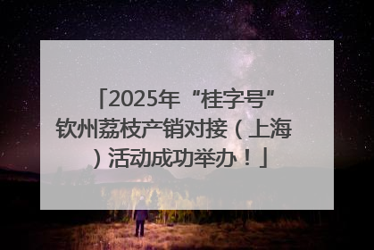 2025年“桂字号”钦州荔枝产销对接（上海）活动成功举办！