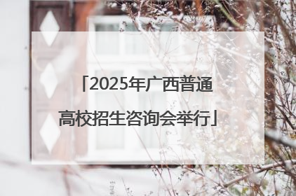 2025年广西普通高校招生咨询会举行