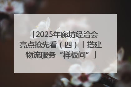 2025年廊坊经洽会亮点抢先看（四）丨搭建物流服务“样板间”