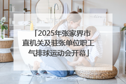 2025年张家界市直机关及驻张单位职工气排球运动会开幕