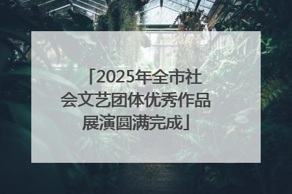 2025年全市社会文艺团体优秀作品展演圆满完成