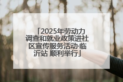 2025年劳动力调查和就业政策进社区宣传服务活动·临沂站 顺利举行