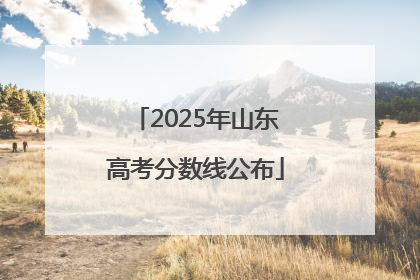2025年山东高考分数线公布