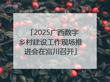 2025广西数字乡村建设工作现场推进会在富川召开