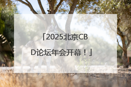 2025北京CBD论坛年会开幕！