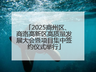 2025商州区、商洛高新区高质量发展大会暨项目集中签约仪式举行