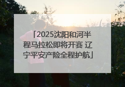 2025沈阳和河半程马拉松即将开赛 辽宁平安产险全程护航