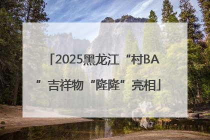 2025黑龙江“村BA”吉祥物“隆隆”亮相