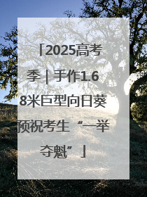 2025高考季｜手作1.68米巨型向日葵预祝考生“一举夺魁”