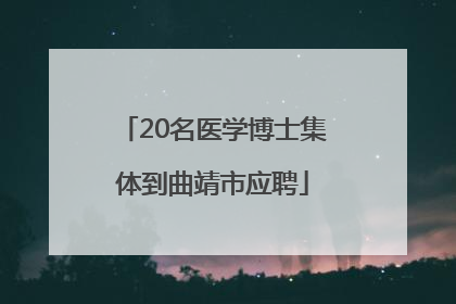 20名医学博士集体到曲靖市应聘