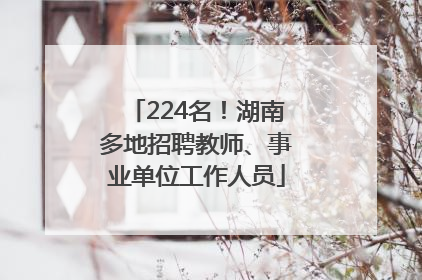 224名！湖南多地招聘教师、事业单位工作人员