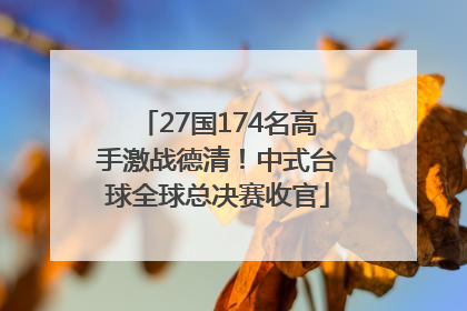 27国174名高手激战德清！中式台球全球总决赛收官