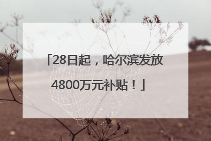 28日起，哈尔滨发放4800万元补贴！