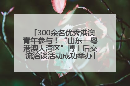 300余名优秀港澳青年参与！“山东—粤港澳大湾区”博士后交流洽谈活动成功举办