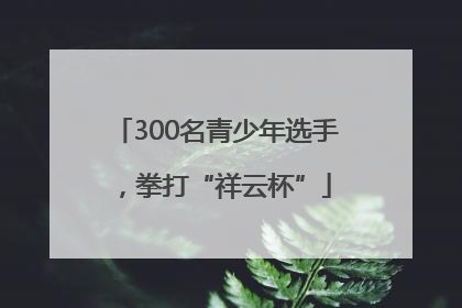 300名青少年选手，拳打“祥云杯”