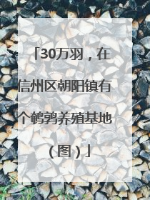 30万羽，在信州区朝阳镇有个鹌鹑养殖基地（图）