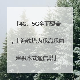 4G、5G全面覆盖，上海铁塔为乐高乐园建积木式通信塔
