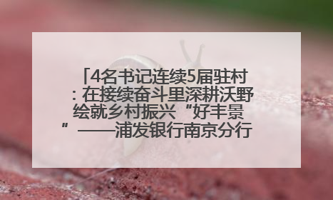 4名书记连续5届驻村：在接续奋斗里深耕沃野 绘就乡村振兴“好丰景”——浦发银行南京分行助力脱贫攻坚、帮促乡村振兴记事（二）