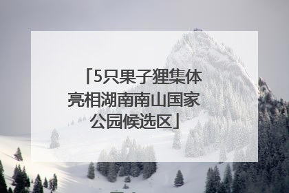 5只果子狸集体亮相湖南南山国家公园候选区