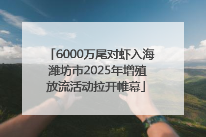 6000万尾对虾入海 潍坊市2025年增殖放流活动拉开帷幕