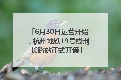 6月30日运营开始，杭州地铁19号线荆长路站正式开通