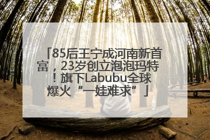 85后王宁成河南新首富，23岁创立泡泡玛特！旗下Labubu全球爆火“一娃难求”