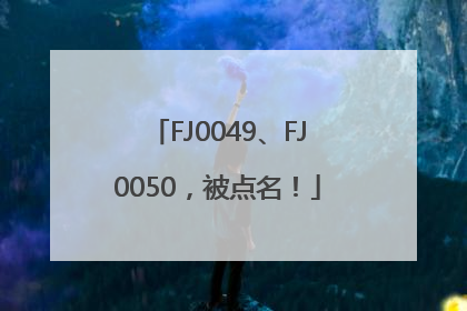 FJ0049、FJ0050，被点名！