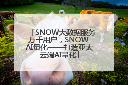 SNOW大数据服务万千用户，SNOW AI量化——打造亚太云端AI量化