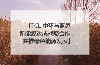 TCL 中环与蓝思新能源达成战略合作，共推绿色能源发展